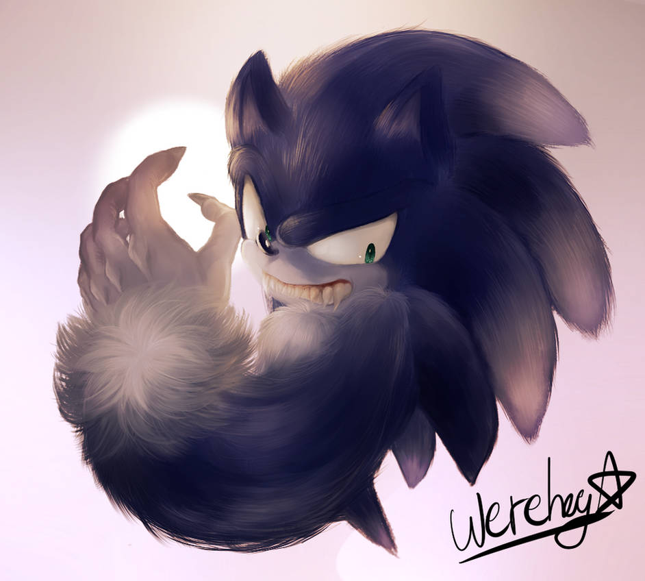 Werehog by Unichrome-uni on DeviantArt