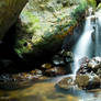 El Yunque PR