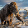 THE CHRONAVERSE (4 Img) - Brown Woolly Mammoth