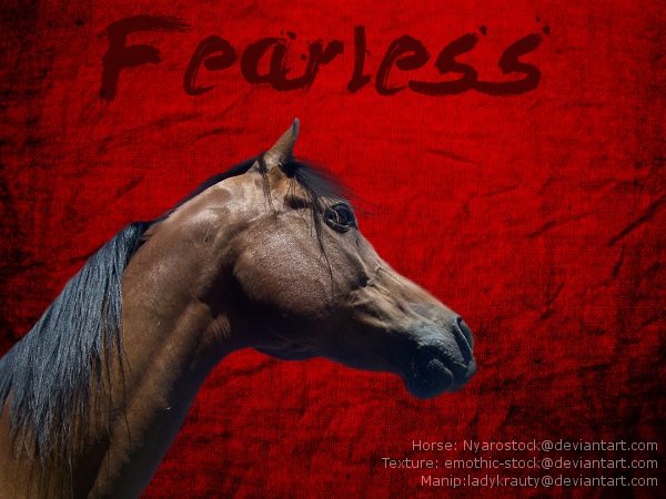 Horse Portrait: Fearless