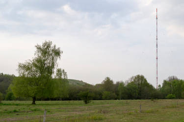 Radio Tower (Spring)