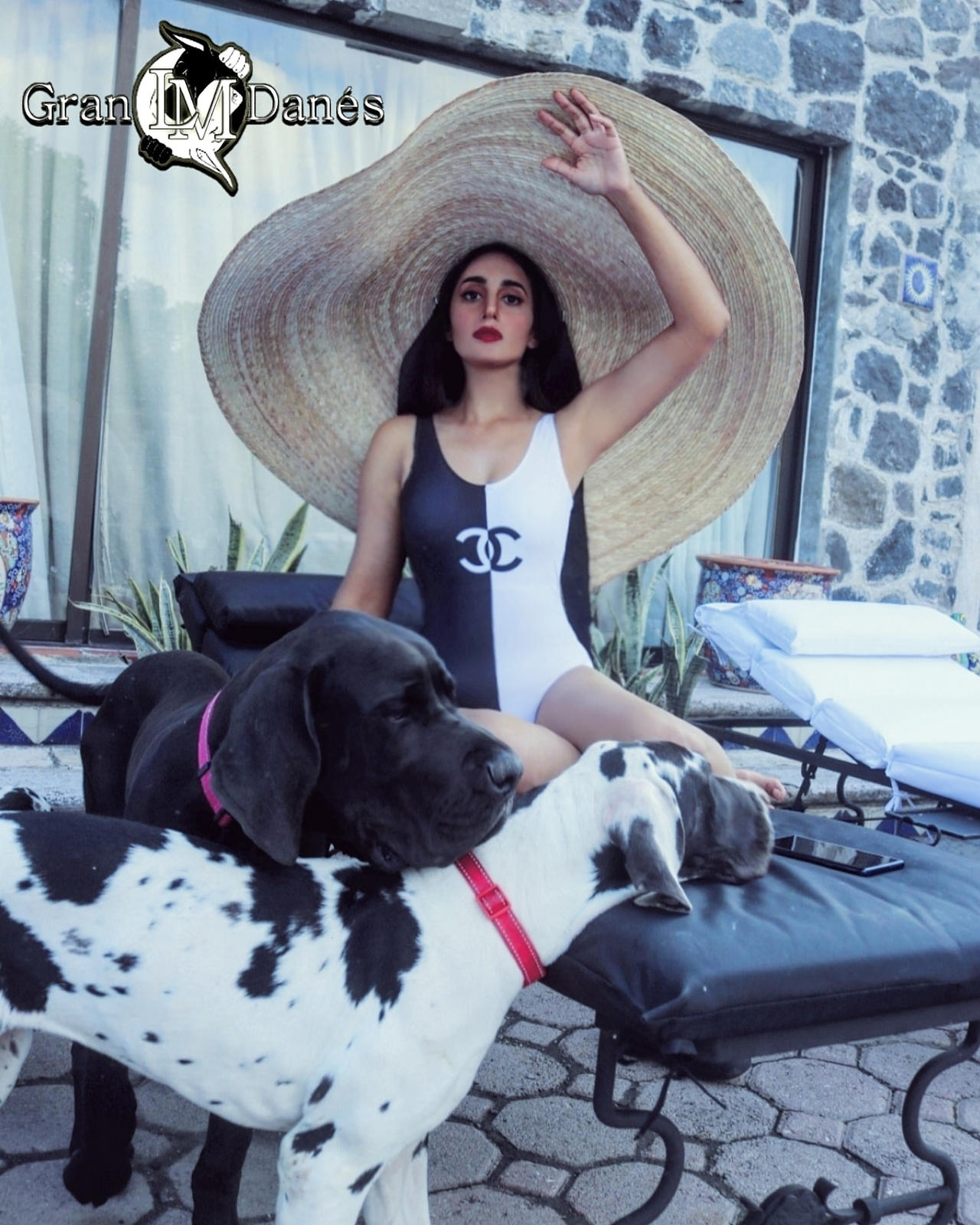 Liz Macias Gran Danes LM swimsuit chanel by grandaneslm on DeviantArt