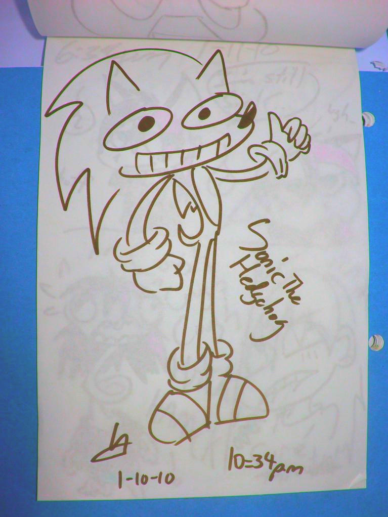 Sonic The Hedgedoodle