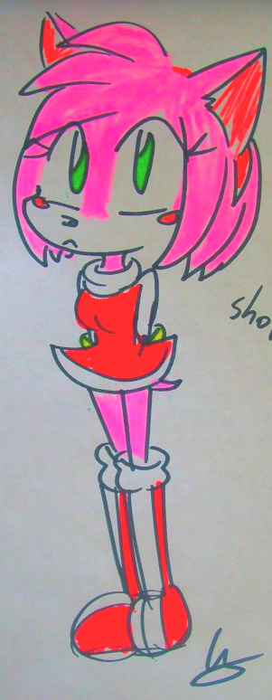 Amy Rose02