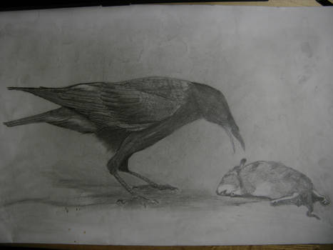 Art Class Homework: Drawing of Animal