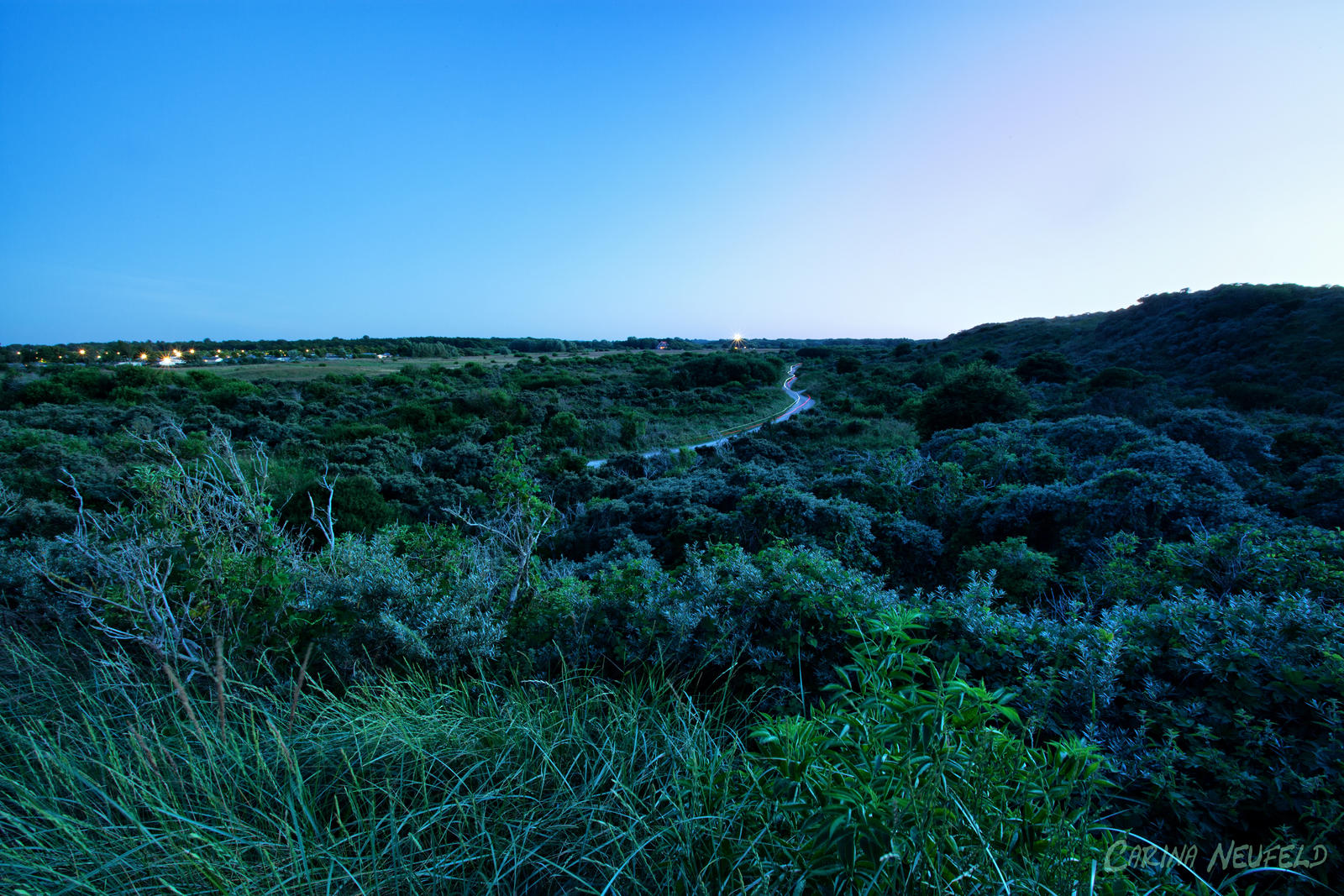 Magic Dunes