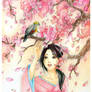 - COMMISSION -  Sakura Blossom