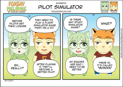 Pilot Simulator