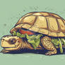 Turtle Sandwich