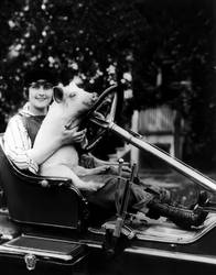 Pearl White With A Pig, 1916 by NJDVINTAGE