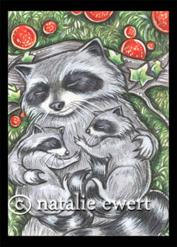 Raccoon Family Nap Time