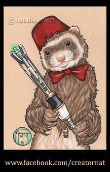 The 11th Doctor Who as a Ferret, Complete!