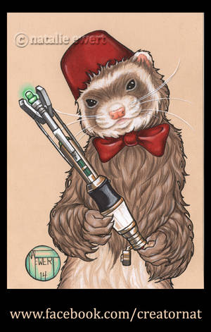 The 11th Doctor Who as a Ferret, Complete! by natamon