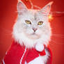 Christmas Cats: Elyriyana