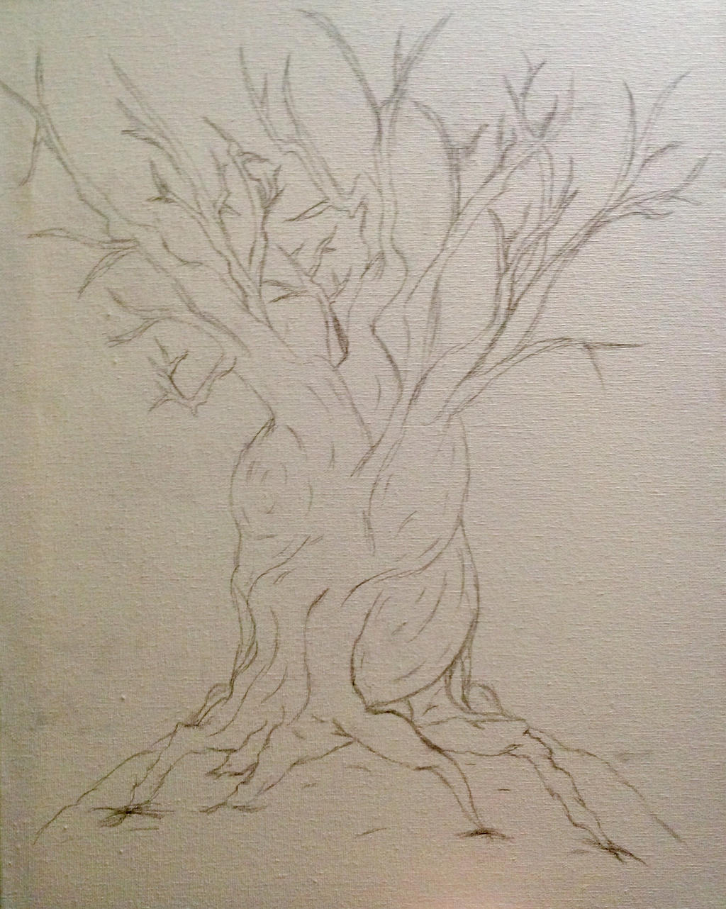 Bare Tree Scetch A Bare Tree Sketch For A Family Tree Painting by HoodedSushi on DeviantArt
