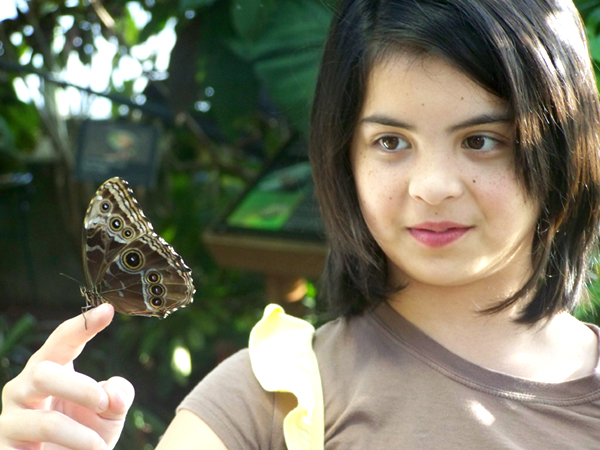 Butterfly and Girl