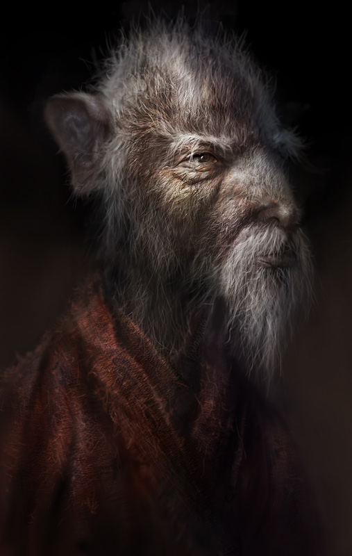 Master Splinter by vshen on DeviantArt