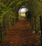 Autumn Path by Its-Only-Stock