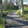 cobble steps:path
