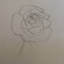 I drew a rose