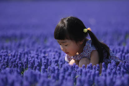 Japanese girl in blue