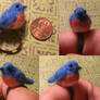 little bluebird ring