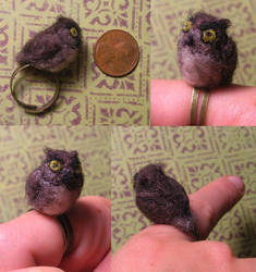 angry owl ring
