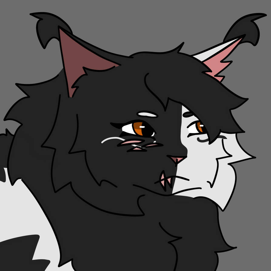 Angstrom Pfp AngelStar Pfp by BL00DHOUNDS on DeviantArt