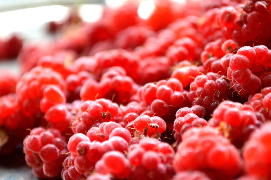 Very Berry Raspberry Very berry by Thamaleia on DeviantArt