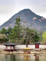 At Gyeongbokgung Palace, Seoul, South Korea