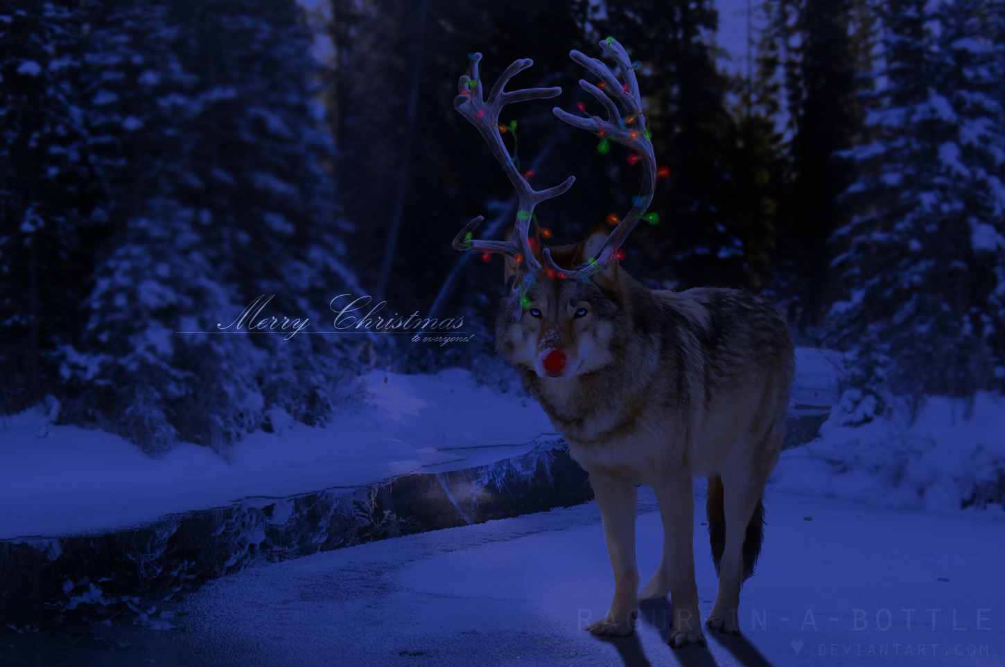 Rudolf the Wolf