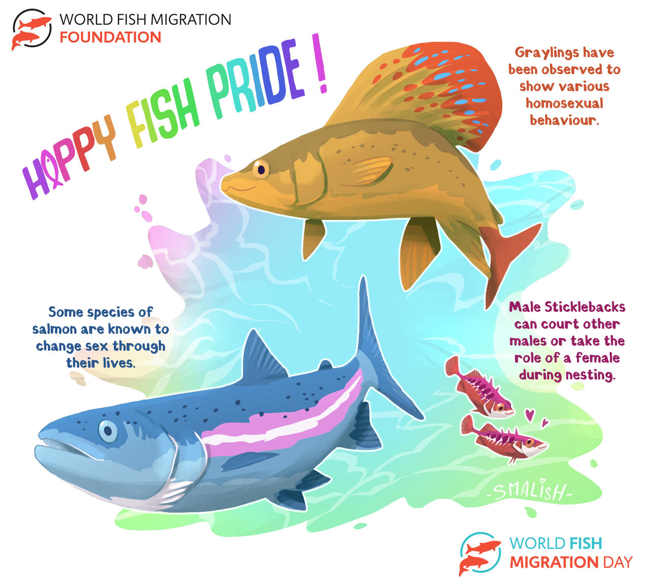 Happy Fish Friend Happy Fish Pride by Galhaad on DeviantArt