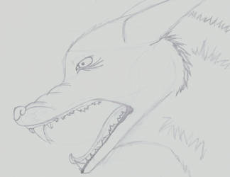 Snarling wolf