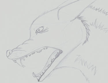 Snarling wolf