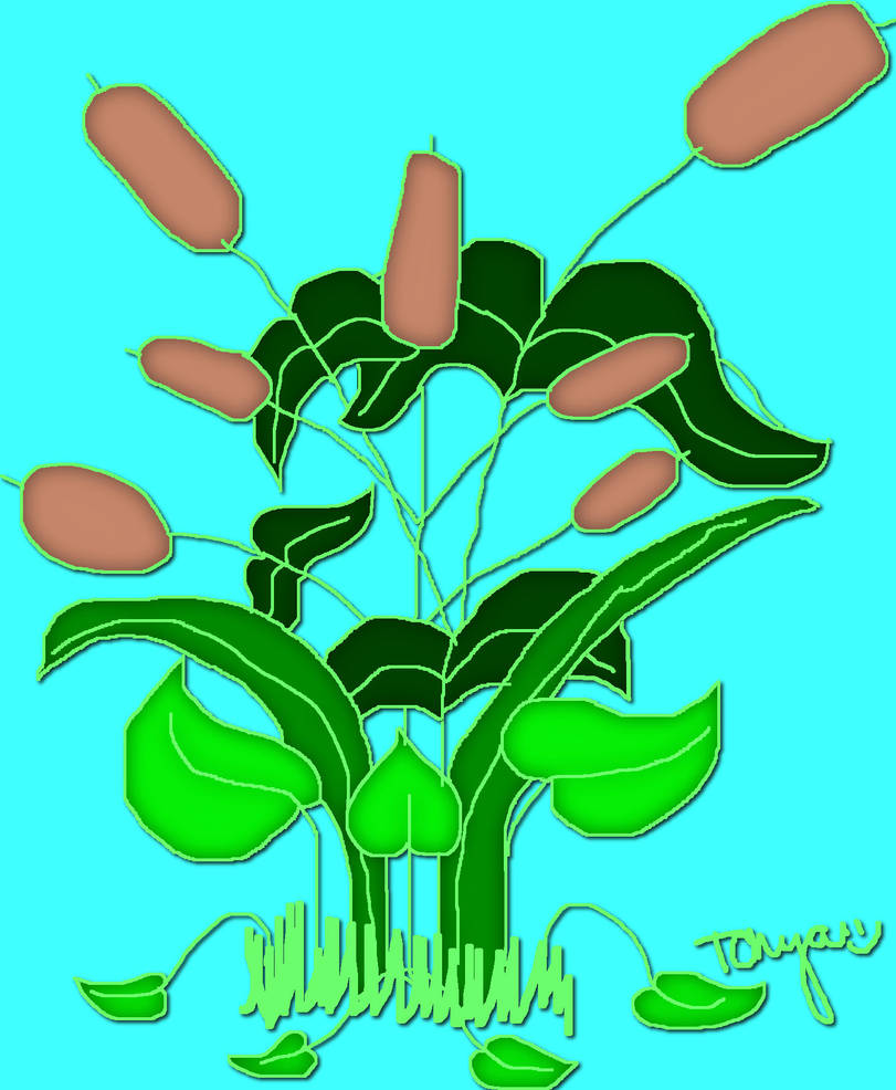 Cattails by AngelFyre32 on DeviantArt