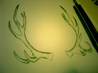 antlers