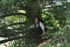 Fem!Bilbo: Into the trees.