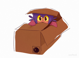 Box Niko