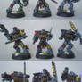 Space Wolves Grey Hunters 1