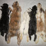 Customer order, 6 rabbit pelts