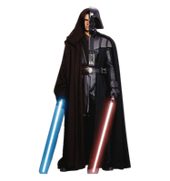 Darth Vader and Anakin Skywalker halves