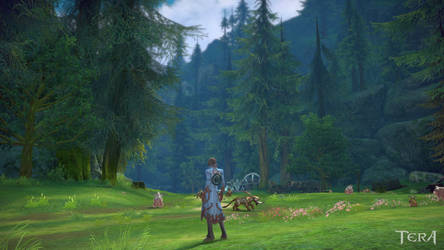 TERA ScreenShot