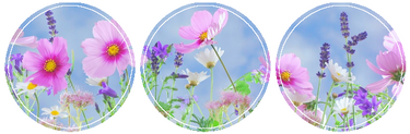 Flower Page Divider