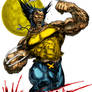 WOLVERINE