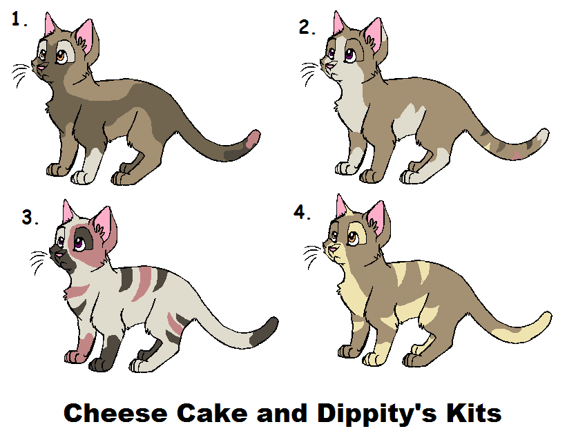 Cheesecake and Dippity's Kits