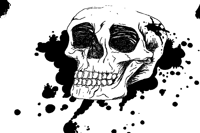 Skull