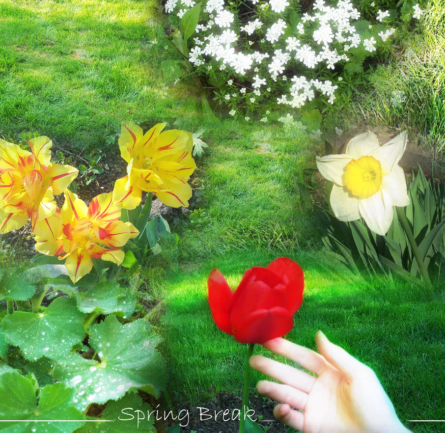 spring break collage by objectx on DeviantArt