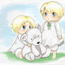 APH: youth