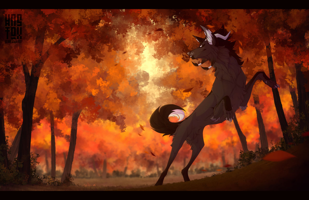 Deviantart Fall Fallen Autumn by Hastox on DeviantArt