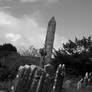 Glendaloch Cemetary Tower 2